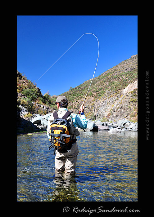 Pescando con Mosca un río Cordillerano de Chile Central